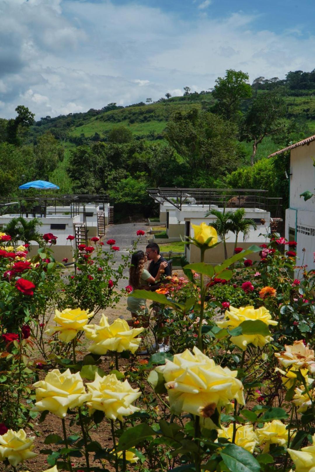 Cielo Abierto Glamping Hotel Valle de San José Exterior foto